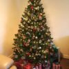 Christmas tree latvian symbols Jumis